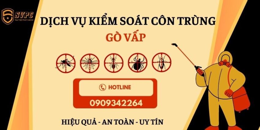 Dịch vụ kiểm soát côn trùng quận gò vấp