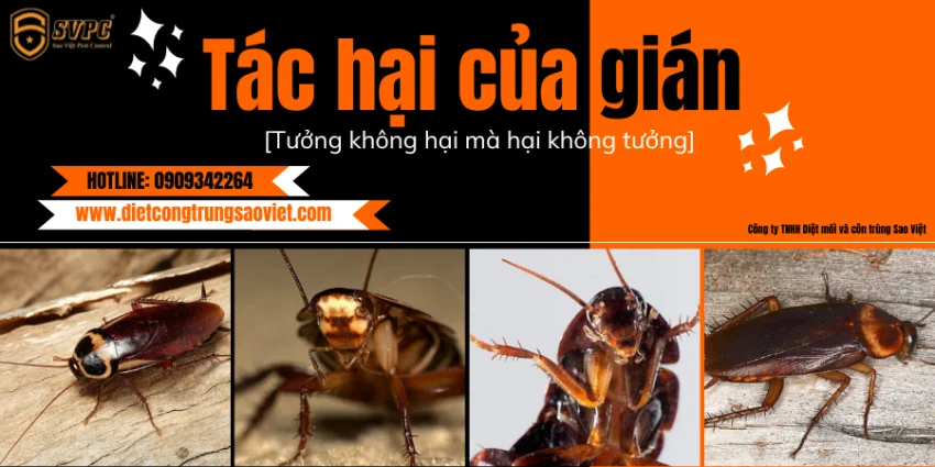 tac-hai-cua-gian1