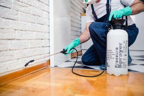 Dịch vụ diệt mối khách sạn tại Suối Tre