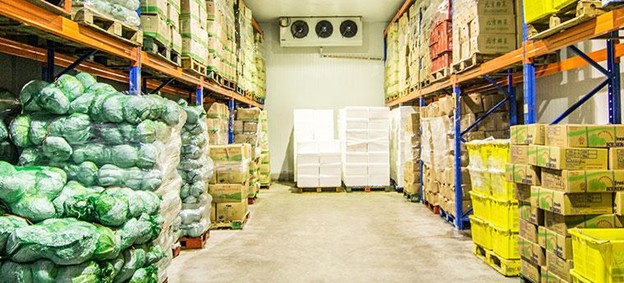 kiểm soát động vật gây hại kho hàng tại Biên Hòa