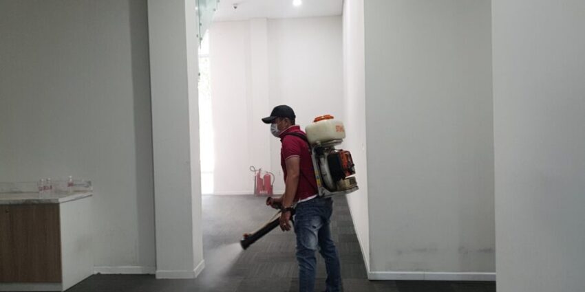 báo giá chống mối chung cư Long Bình
