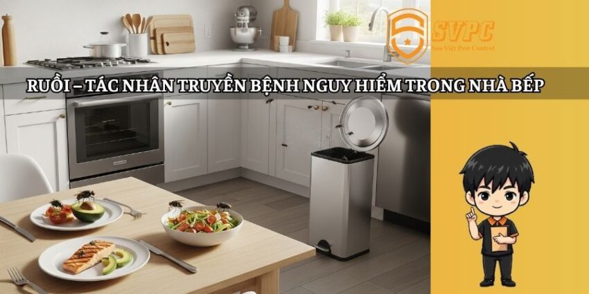 ruồi trong nhà bếp
