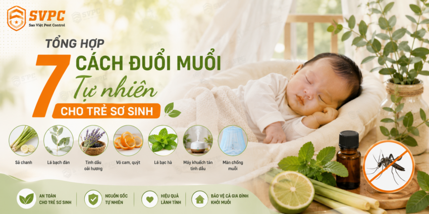 Tổng Hợp 7 Cách Đuổi Muỗi Tự Nhiên Cho Trẻ Sơ Sinh