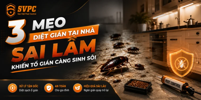 3 Mẹo Diệt Gián Tại Nhà Sai Lầm Khiến Tổ Gián Càng Sinh Sôi